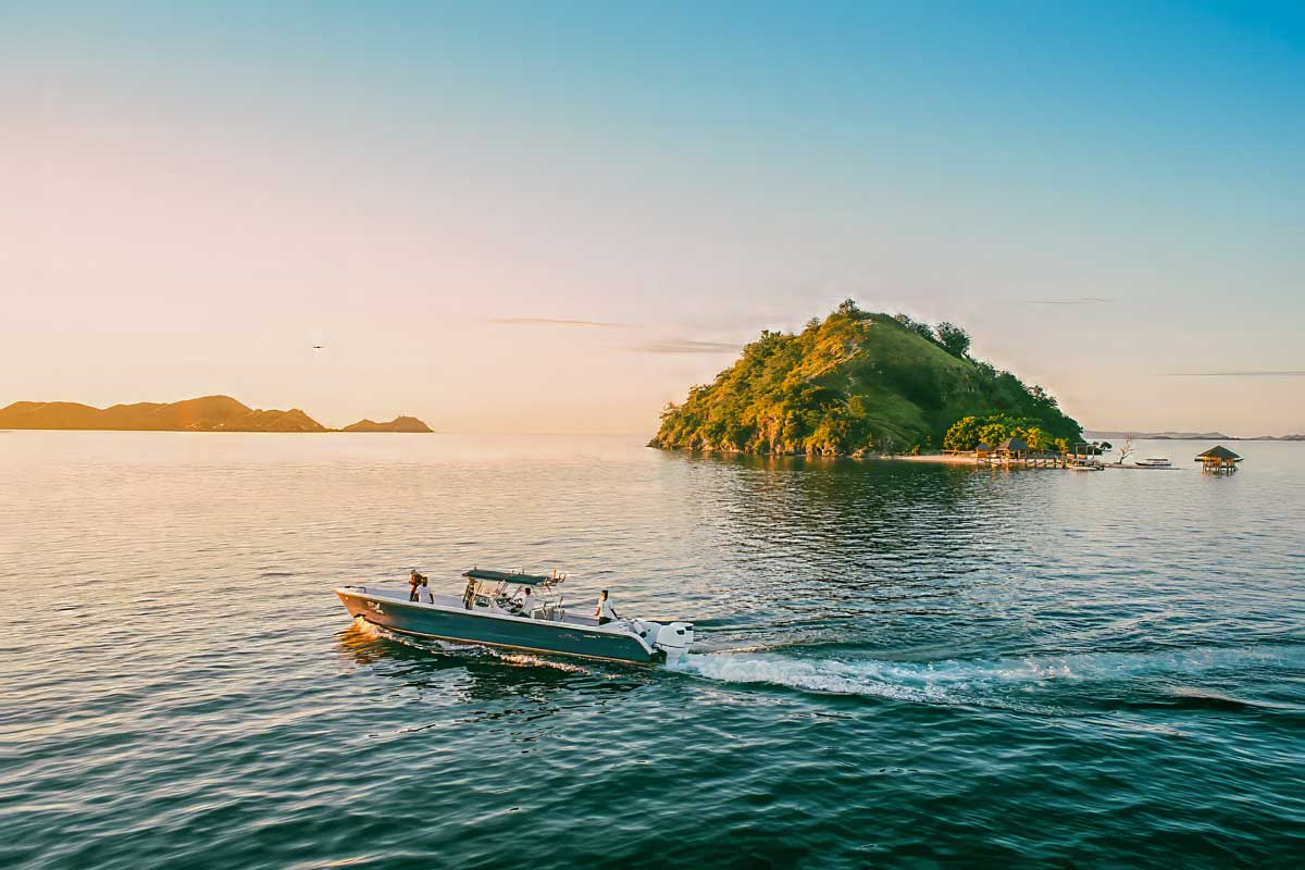 Ocean Pro