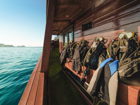 Ocean Pro