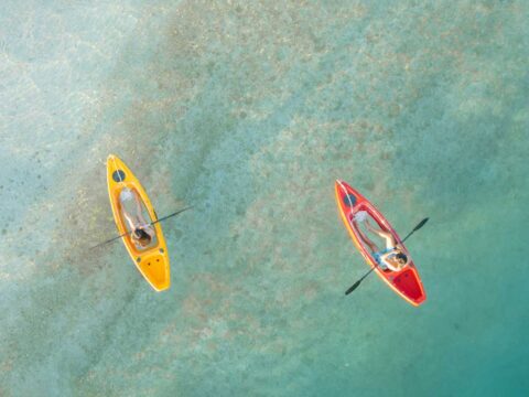 Ocean Pro