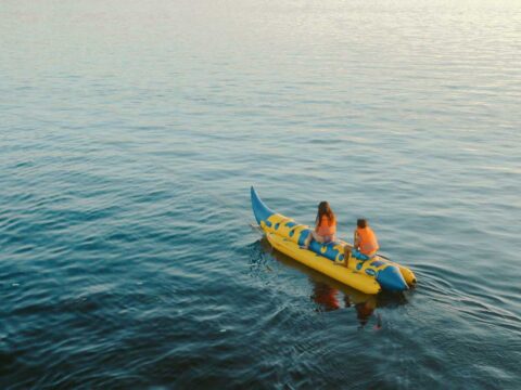 Ocean Pro